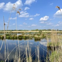 Natuurwandeling De Alde Feanen, Earnewâld, Friesland