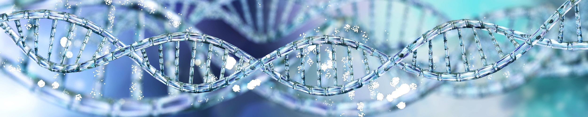 AdobeStock 238617709 25